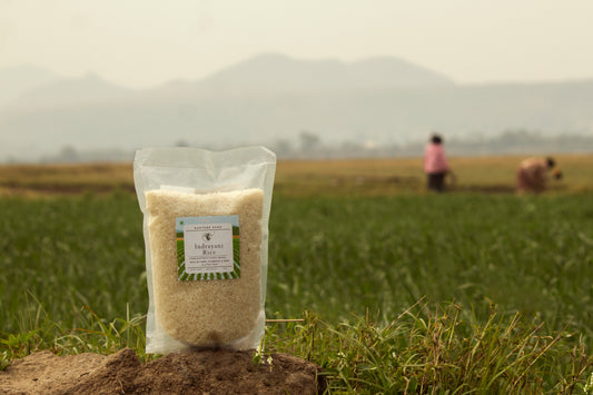 Is Indrayani Rice a true gem from the Western Ghats?